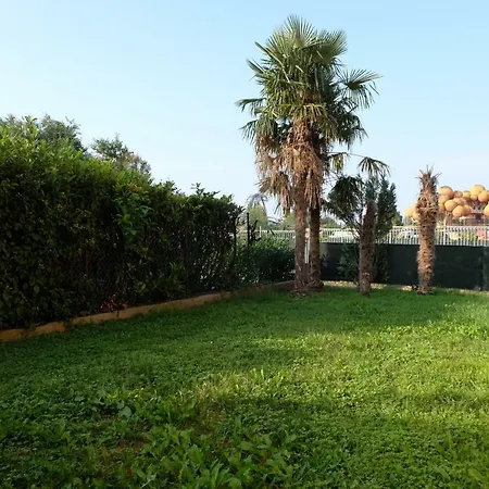 A Casa Di Laura With Pool And Free Bikes アパート
